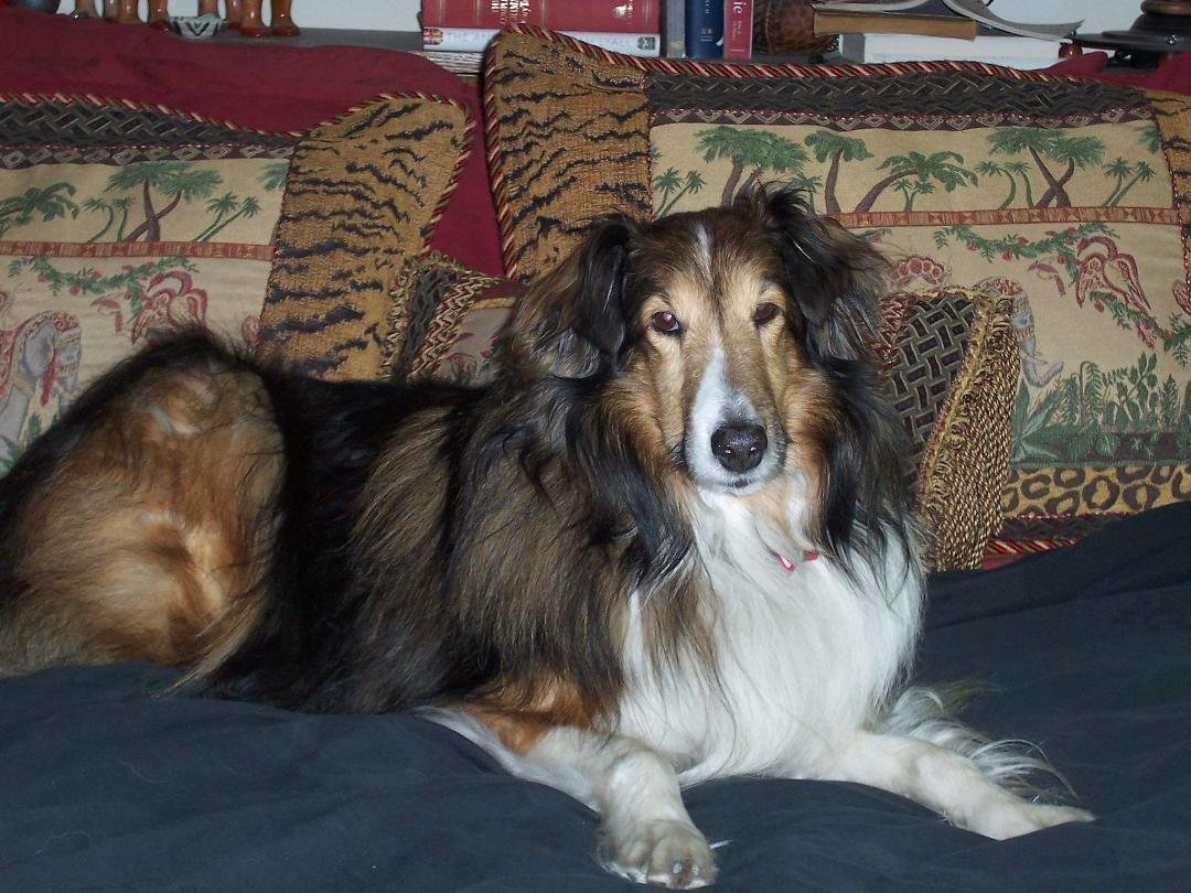 Here's my boy, Toomey.