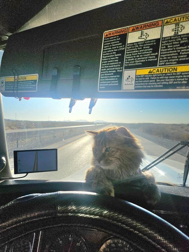 Helping DAD drive