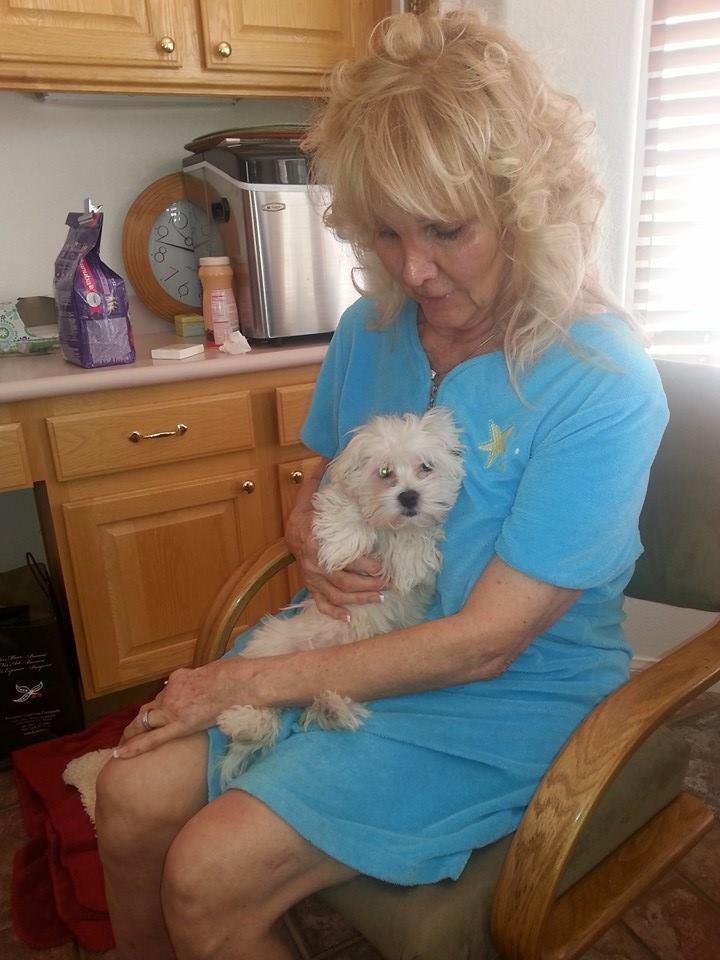 Our new puppy, Laci