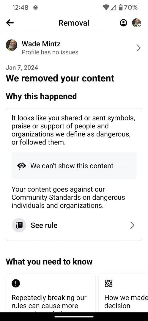 So I got this ding from Facebook (Meta) and have no idea what it is about. They say they have removed "something" but don't tell me what.

I have received 2 notifications in the last week that a password change was requeste