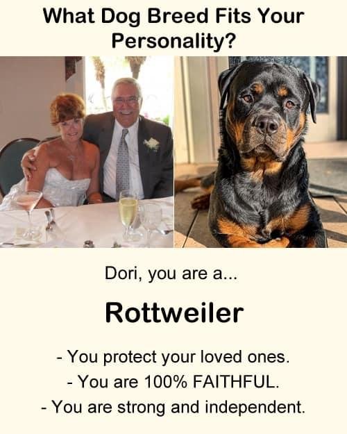 Doreen Holden's album, Timeline photos