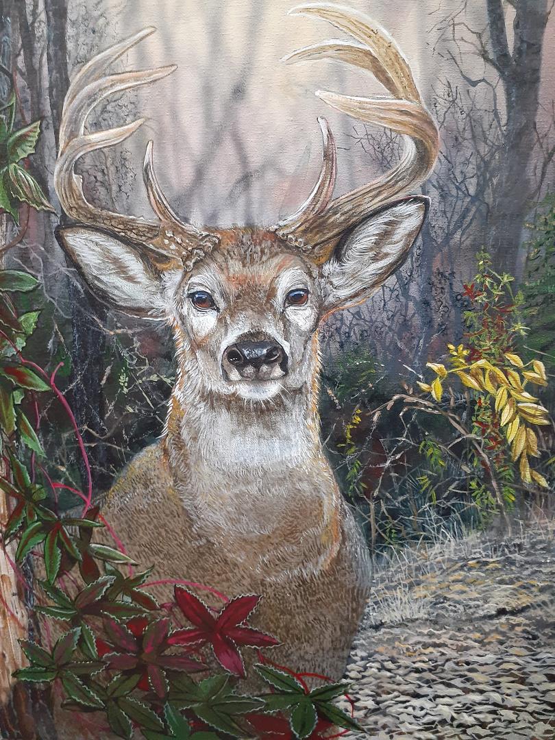 I LIKE to paint a deer in deer season. I'm not anti-hunting it's just nice to know he will always be tramping around in the woods...