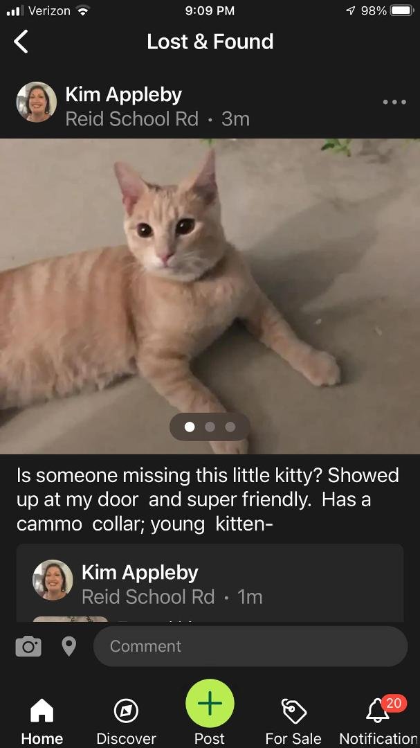 Friendly kitty showed up tonight - needs to find his way back home 😌