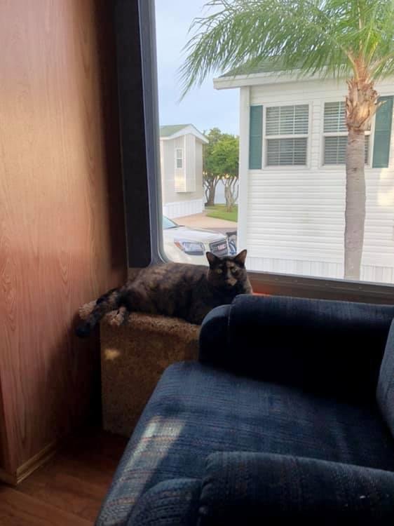 Greetings from REESEE This is where she likes to sit and watch the day go by. We have a view of the lake  sure wish I could bring all my friends with me then it would be perfect