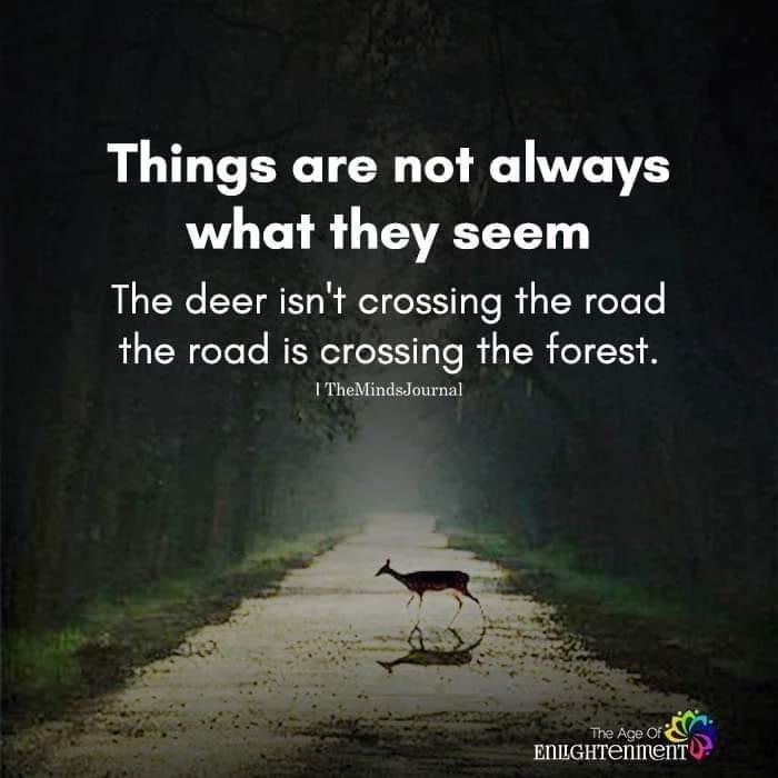 Casey Winfield-Smith's album, Timeline photos