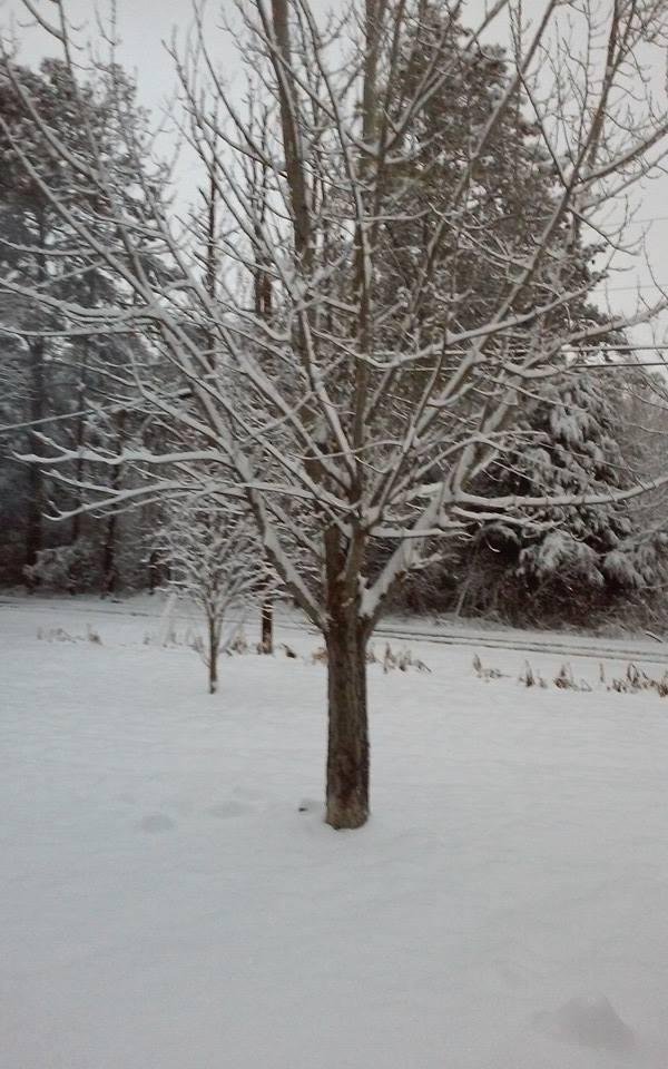 5 1/2" last night