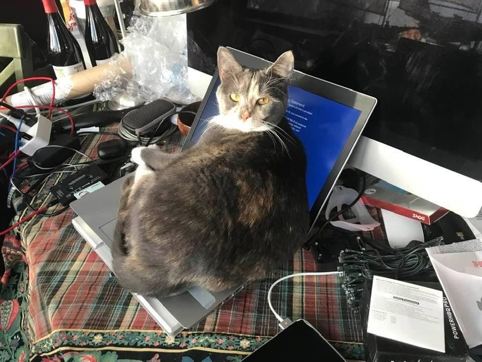 Quarantine IT support.