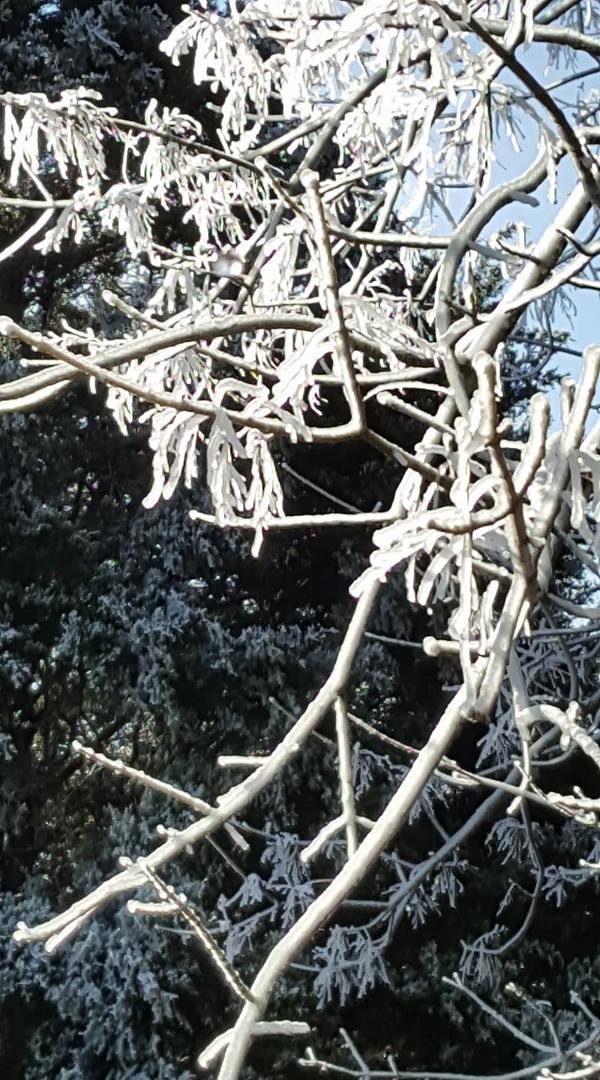 The thaw begins!