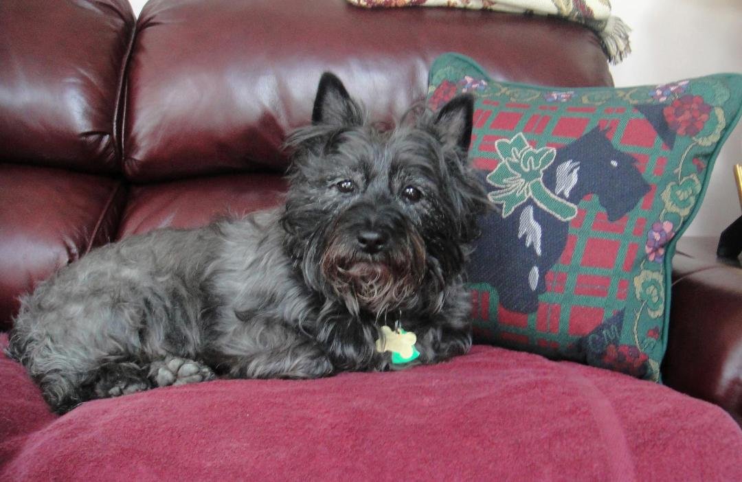 Happy Birthday to "The Penzinator"...she is 9 years young today.