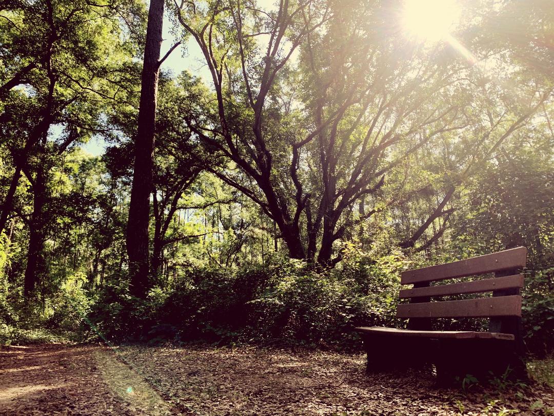 "Every sunrise gives you a new beginning and a new ending. Let this morning be a new beginning to a better relationship and a new ending to the bad memories. It's an opportunity to enjoy life, breathe freely, think and love