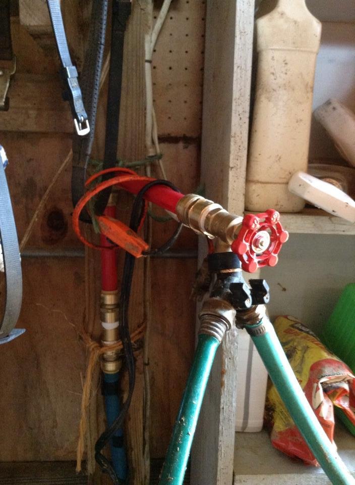 Such excitement! I went out to fill the paddock tank since the horses are shut in the paddock awaiting George. Well, I flooded the barn instead and the water shutoff to the barn no longer works - it is only 35 years old.