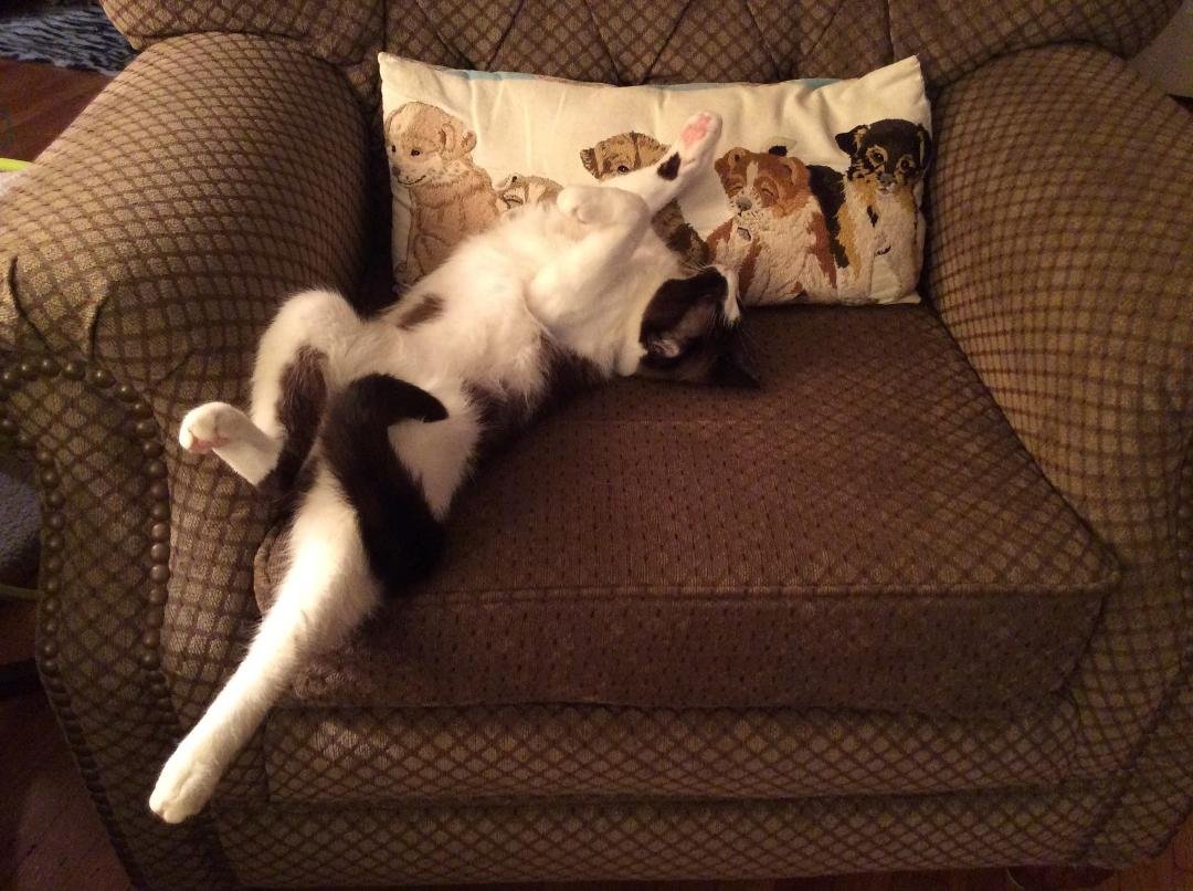 Way too relaxed.