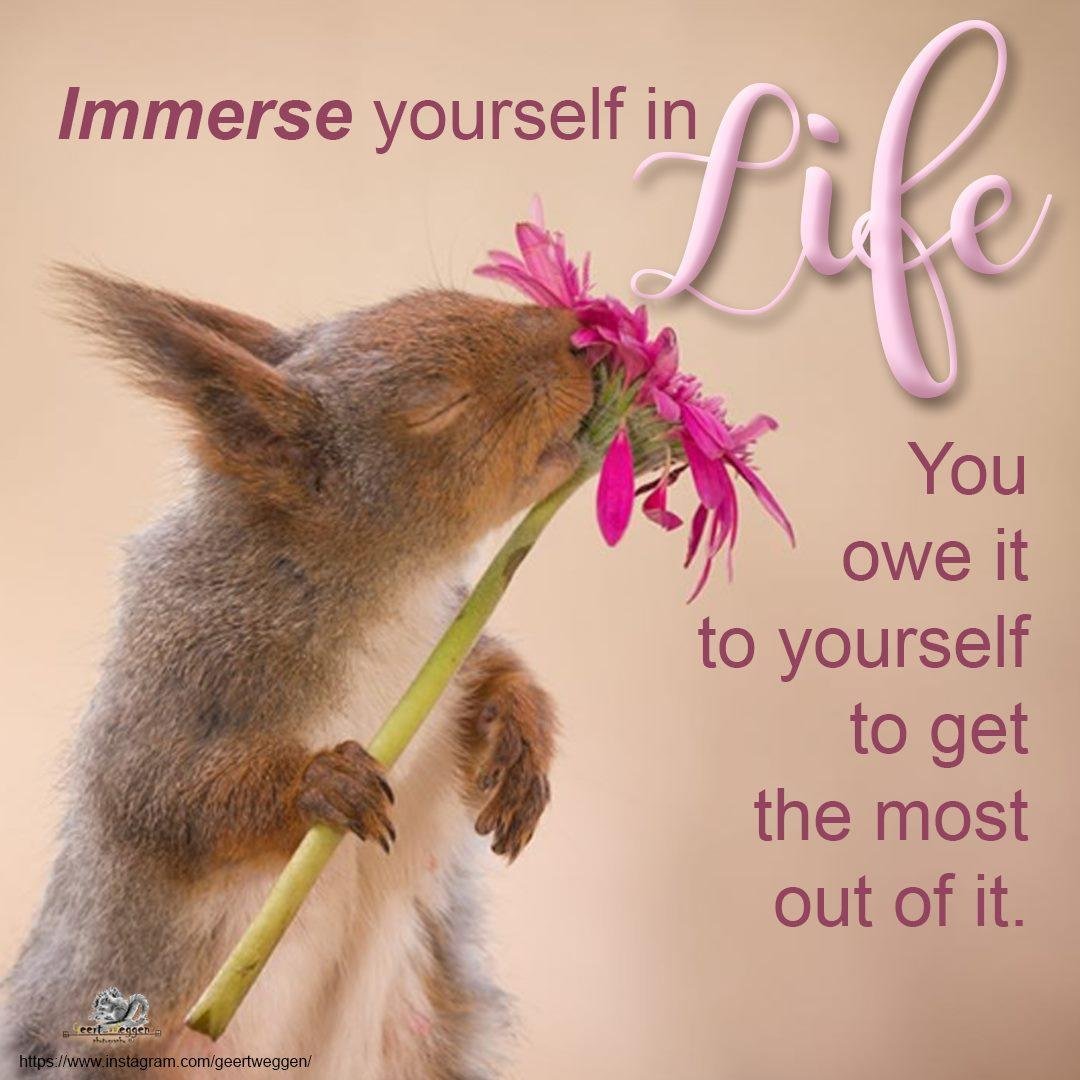 Sandra A Hughes' album, Timeline Photos