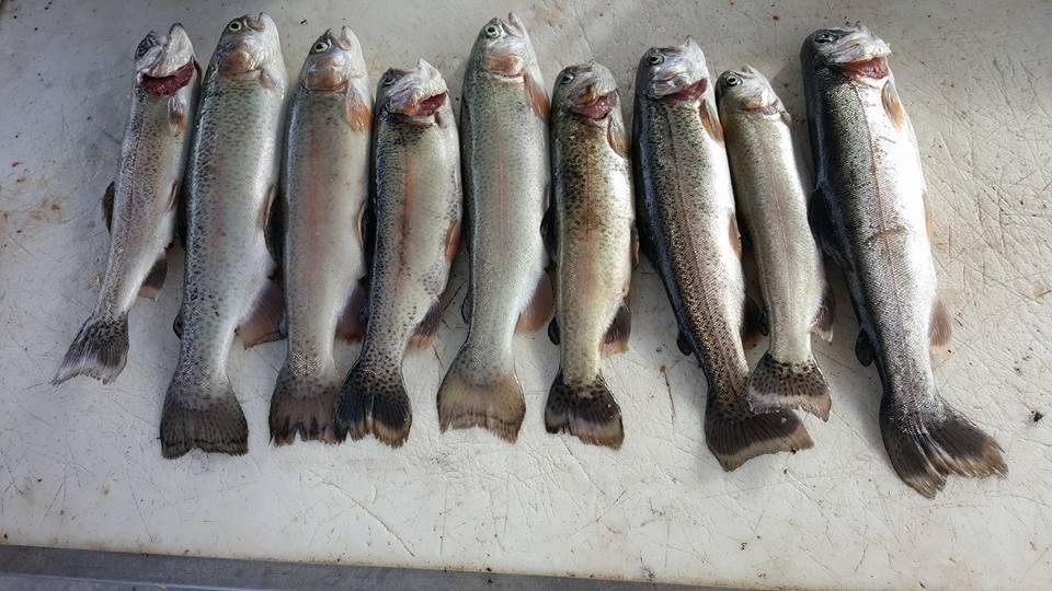 What a great day of fishing with my buddy Larry