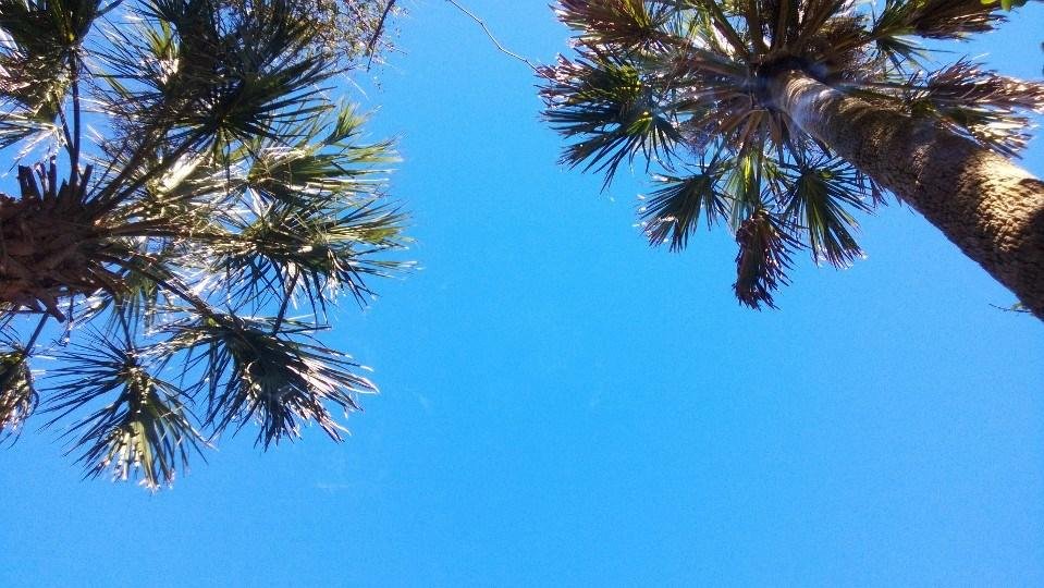 Beautiful blue skies today!