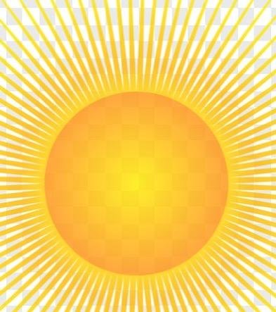 Sunshine on my shoulder 😎