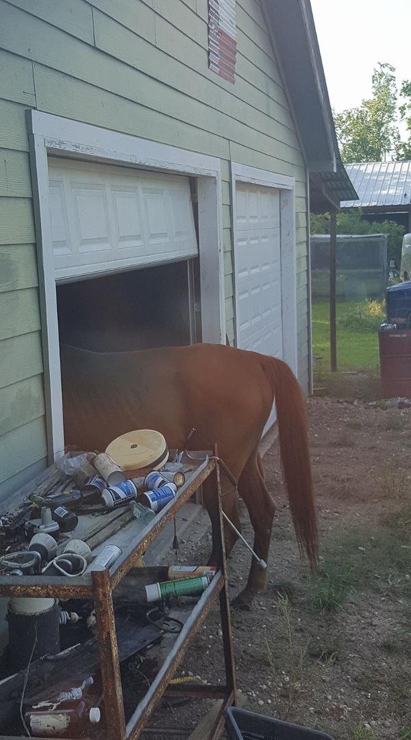 Woke up to this in our garage this morning.