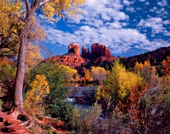 Debra Davis' album, AZ Seasonal Pictures