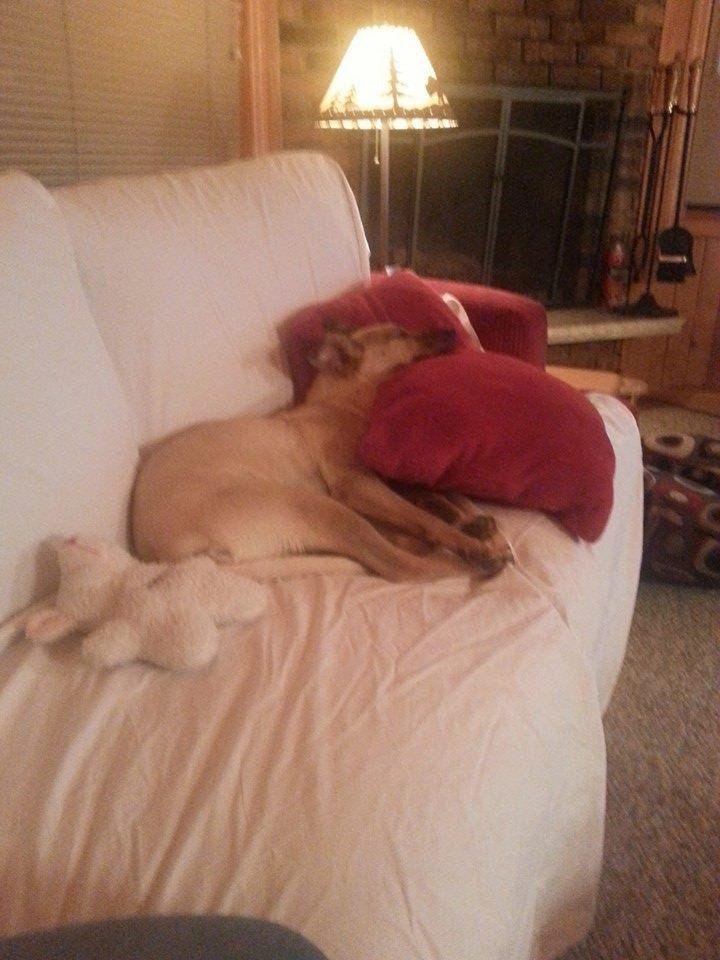 This is the perfect life for me at our cabin in WI.