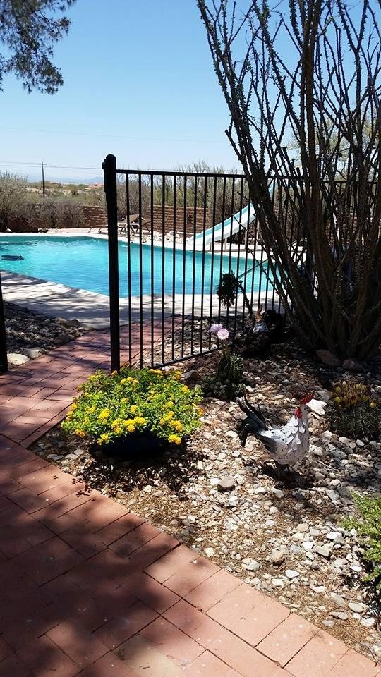 First day of Summer, time for a swim and BBQ.....