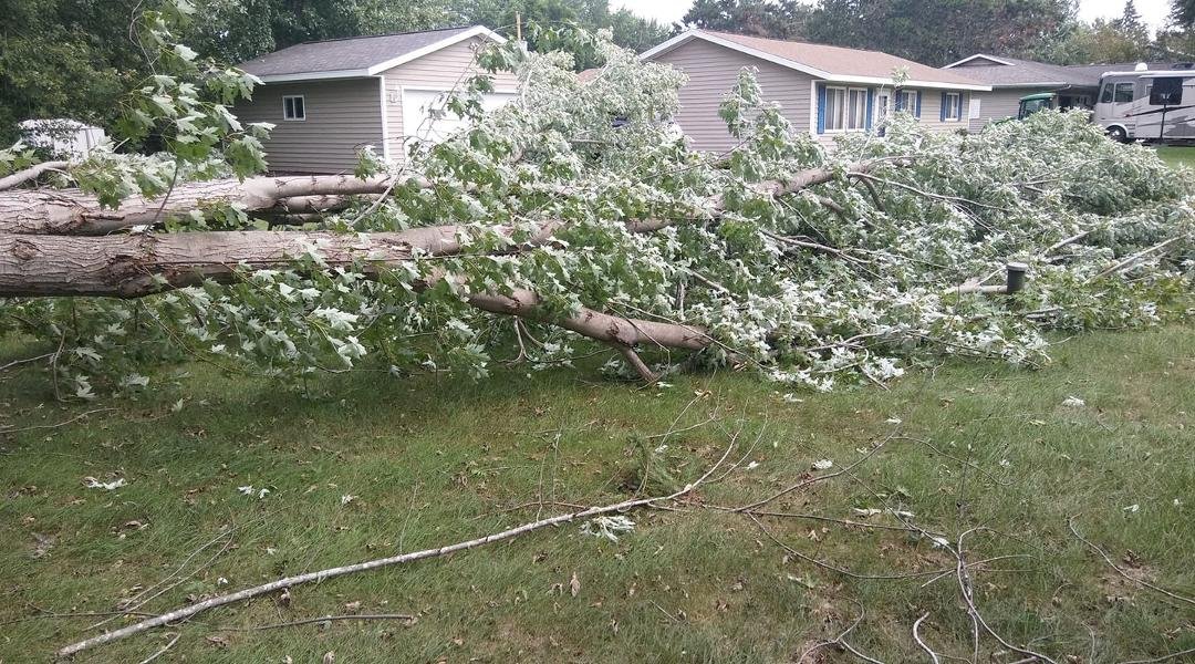 Just missed the neighbors driveway and garage