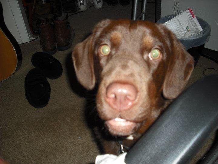 I want some,gimme,gimme some please.