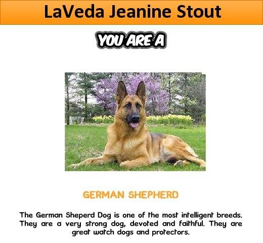 Click here to find out " What kind of DOG You Are " ====> http://bit.ly/Jeko67