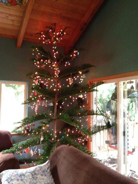 Our Hawaiian Christmas Tree.