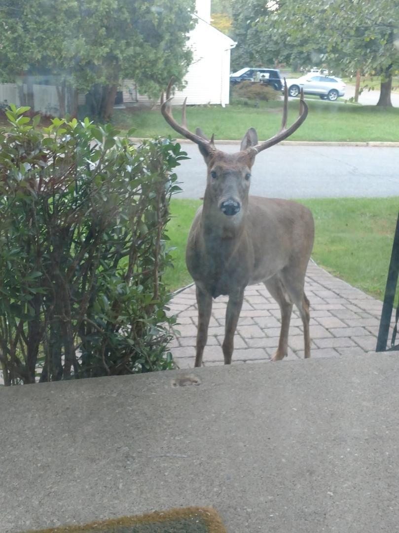 Look who came for a visit!!