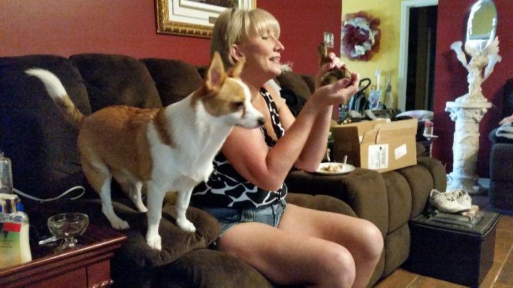 Miley (Karen and my Corgi mix) was taken from me the other day and this is hard. She was my companion since Karen died and helped me smooth out the transition without Karen.
I know there is Yahusha, my children, and grandch