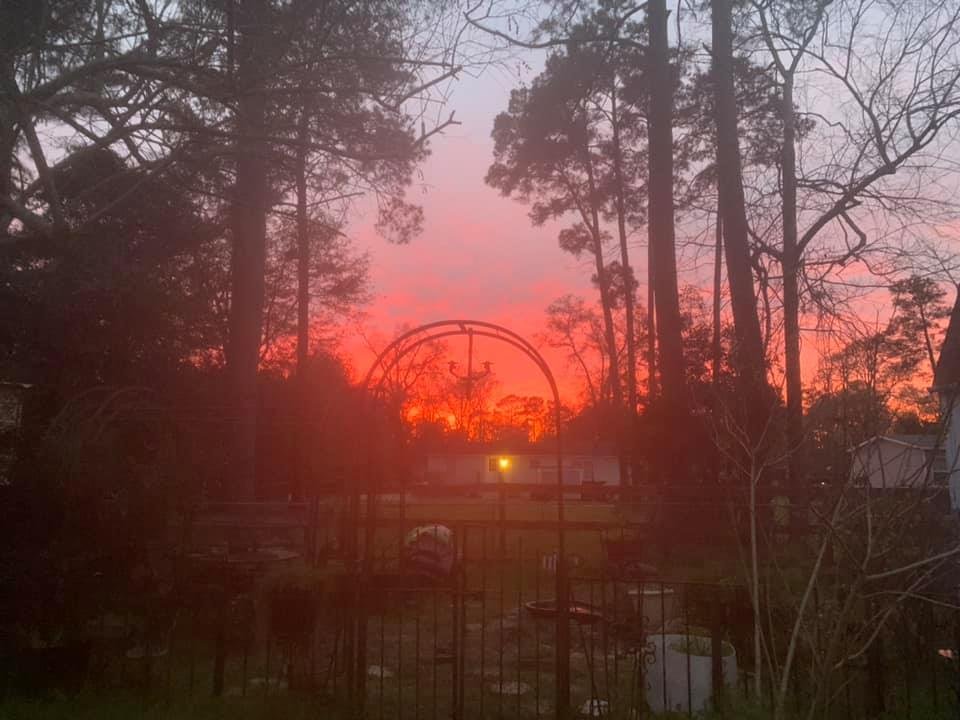 Brenda Spicer's album, Mobile Uploads