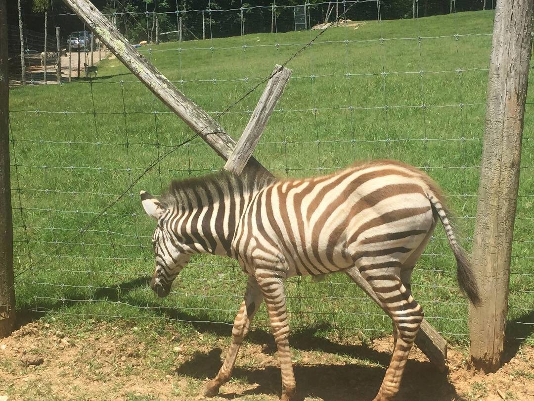 Circle G Ranch