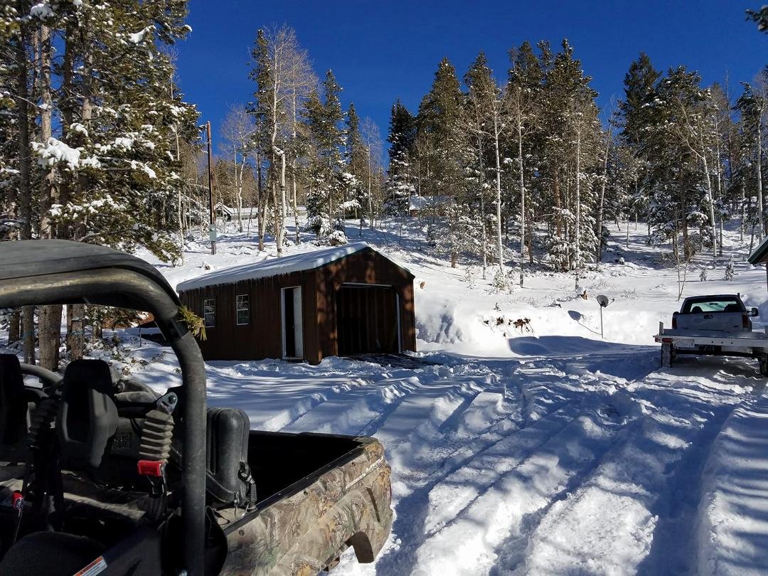 Fun day at the cabin