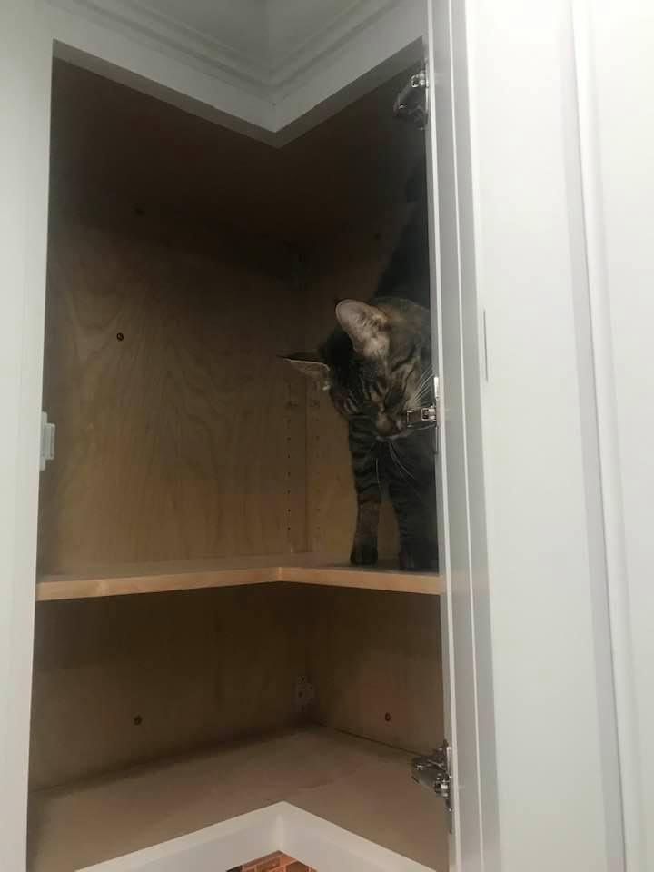 Checking out the new corner cupboard at Adriane’s.