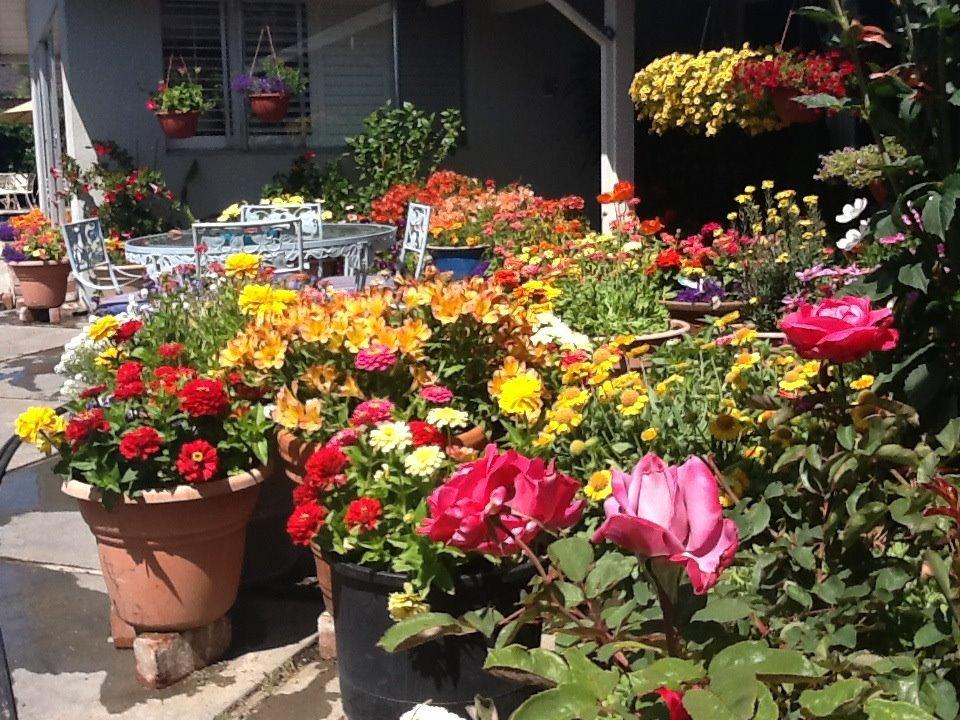 Sunny day in Los Altos