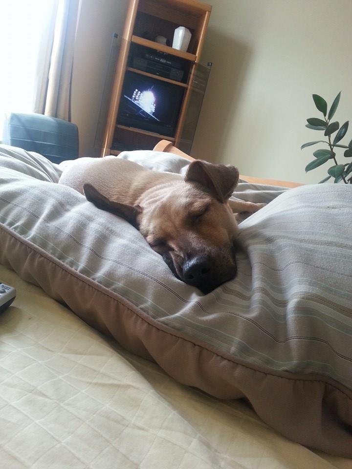 Sleeping beauty.