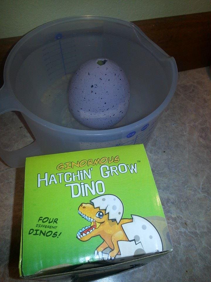 Tiana's dino egg from the discovery center.Went there on school field trip.