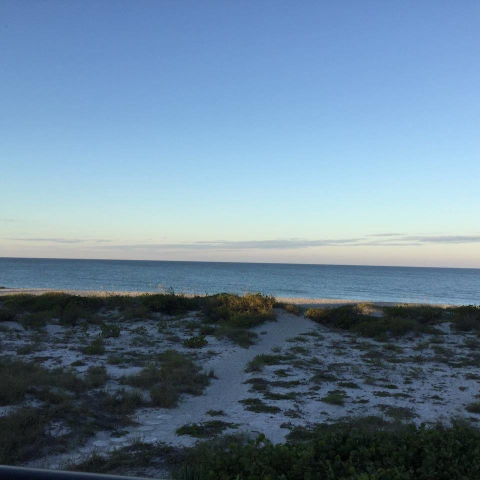 Last morning in my new found reading place!