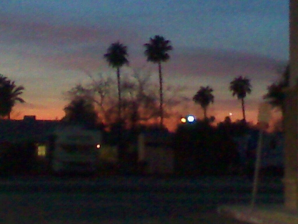 Sunset and Palmtrees