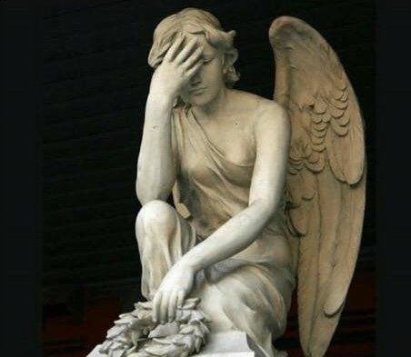 My Guardian  Angel the last couple months !! 😃😃.
