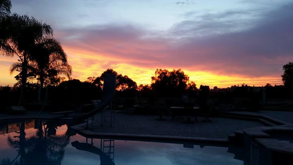 Sharon Robison's album, Mobile Uploads