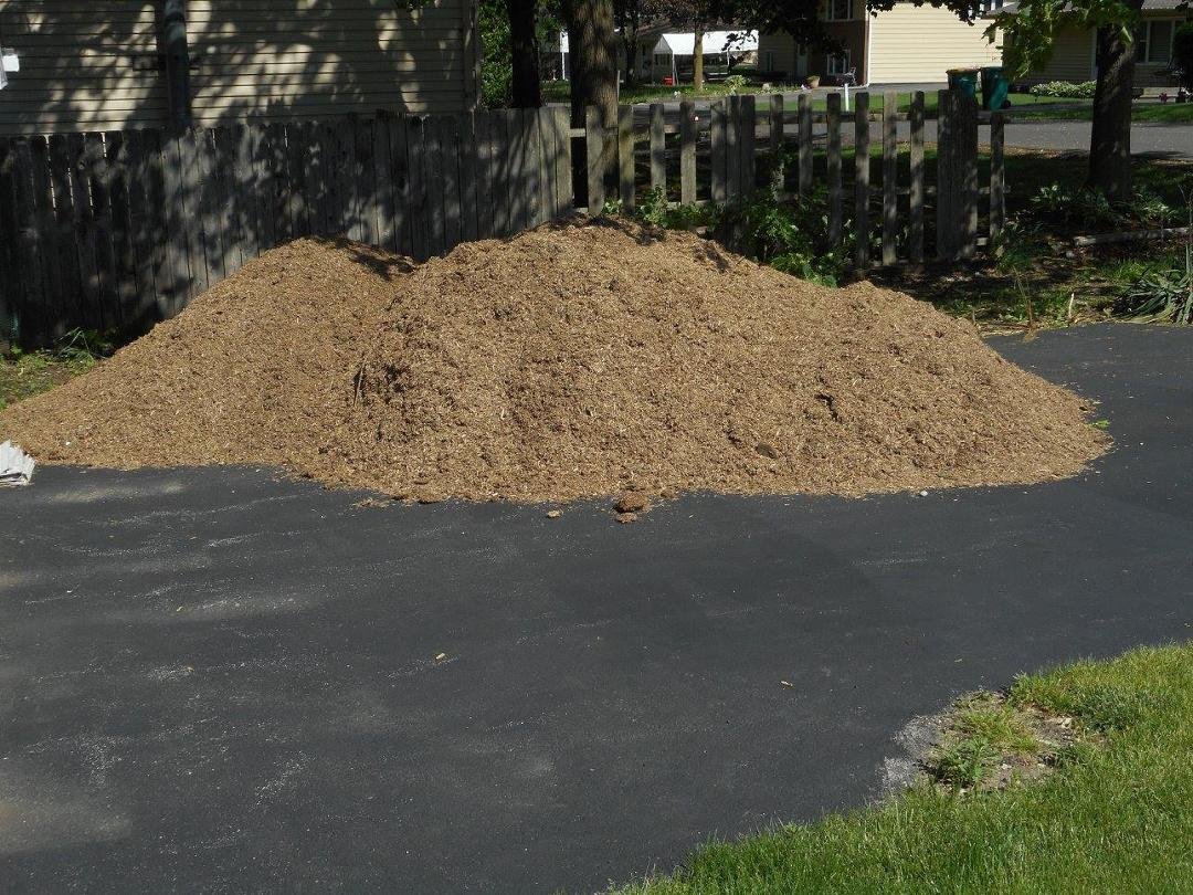 Sandy Best Dalzell's album, Mulch