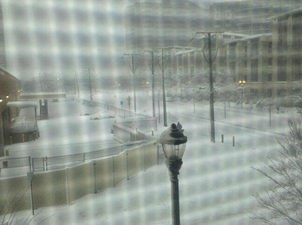 Looking out my apt window to the street where I normally drive: Arlington, VA, Saturday, Feb. 6, 2010