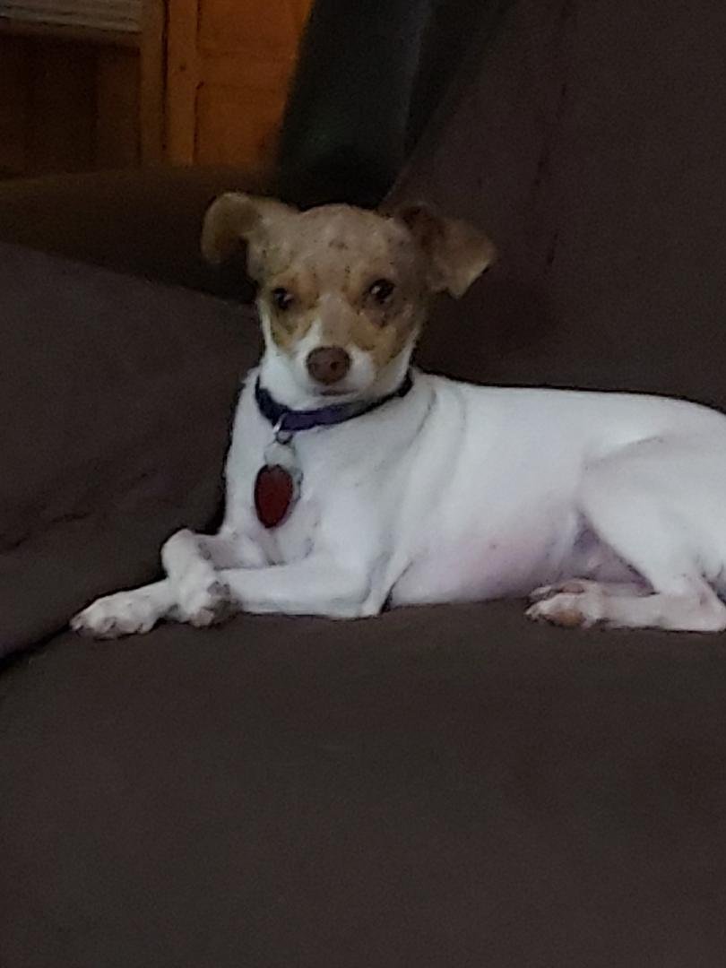 Just chillin!