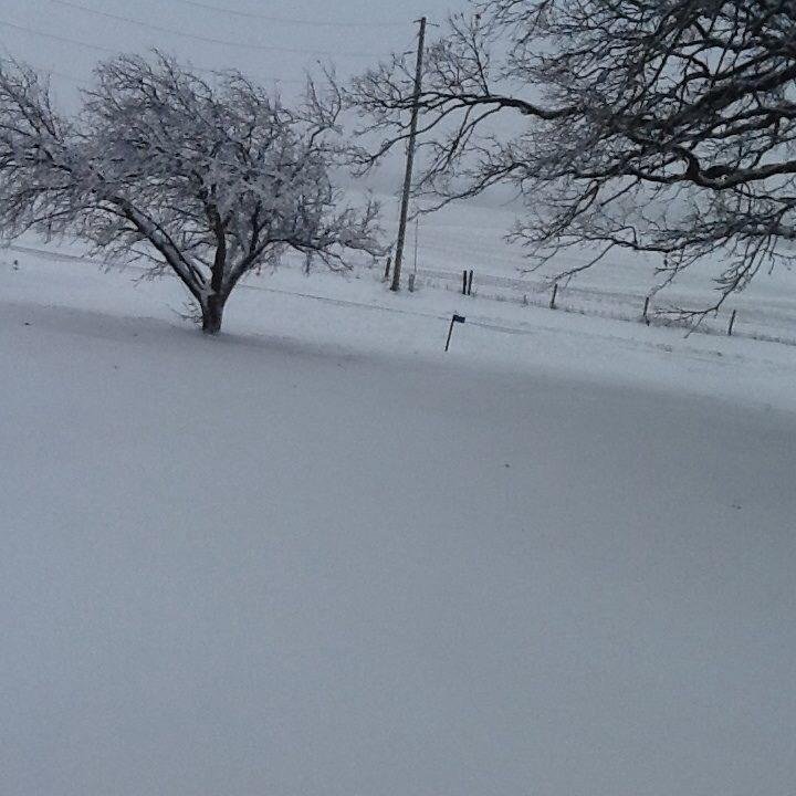 Carolyn Curtis' album, Timeline Photos