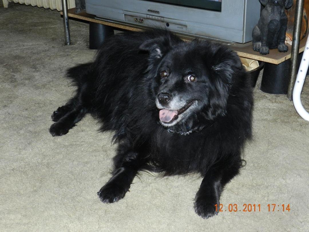 Shadow:
I will aways love you and I miss you every day.