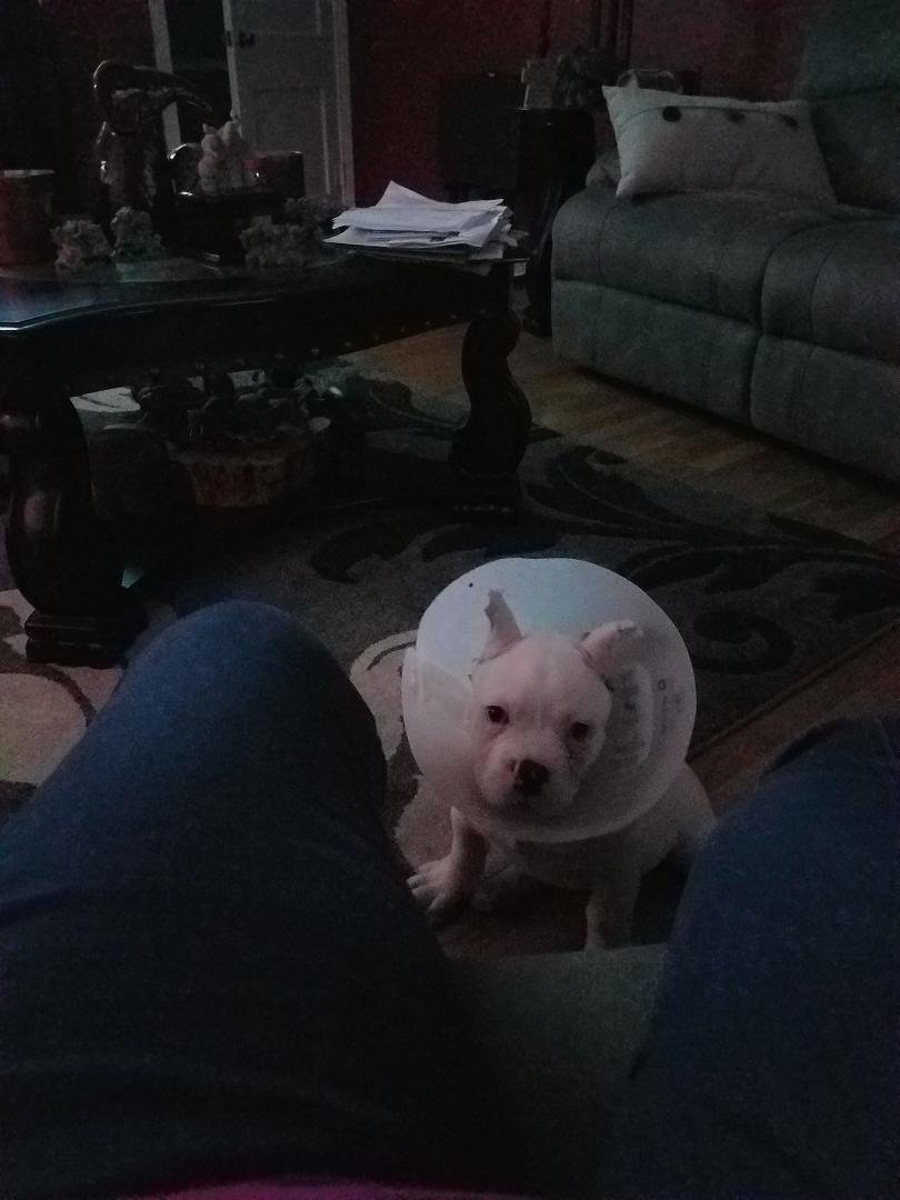 You have to love that face LOL
