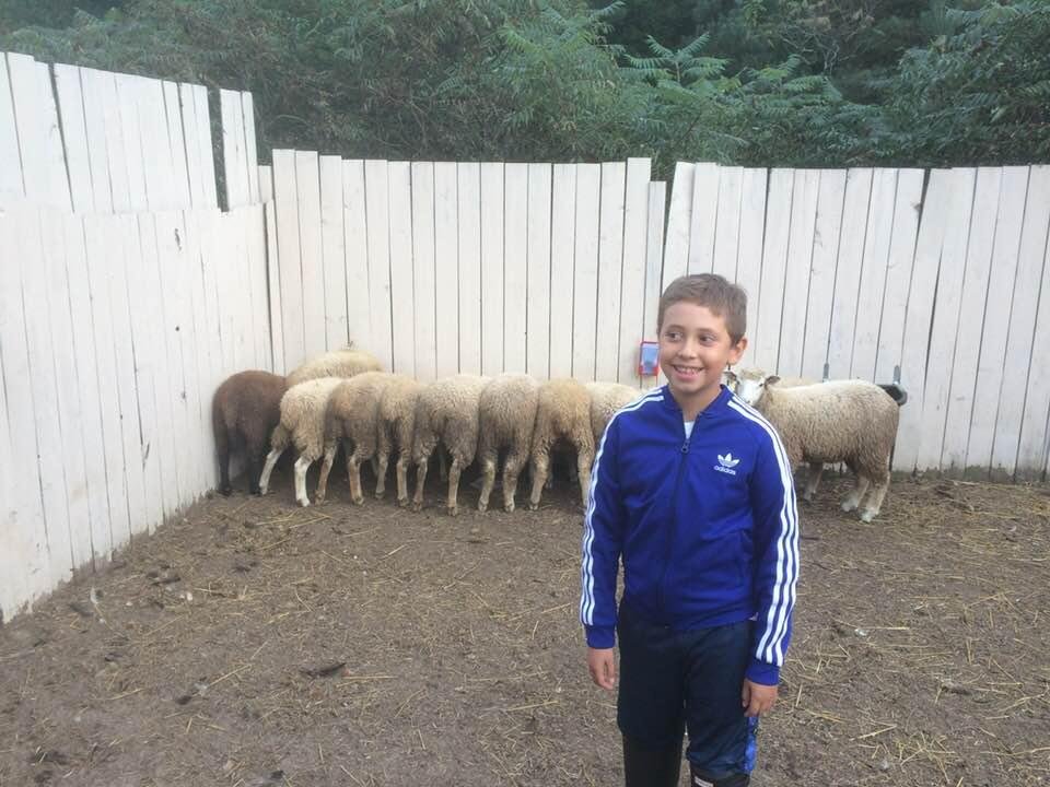 My good shepherd!