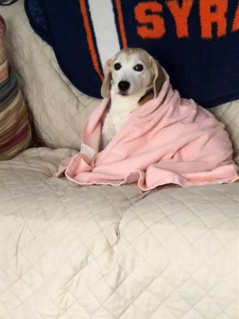 Drying off after playing in the snow