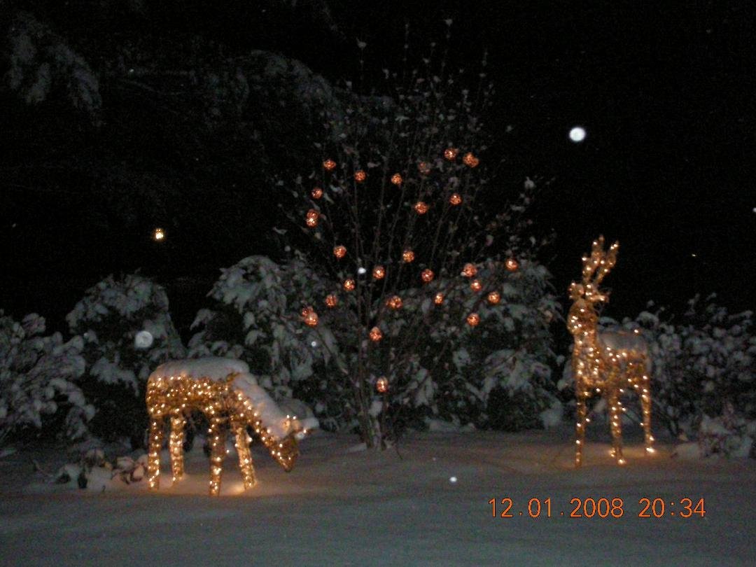 Someone stole one of our Christmas deer last night.........so sad!  :(